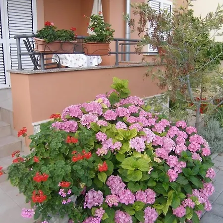 アパート In With Balcony, Air Conditioning, Wifi *